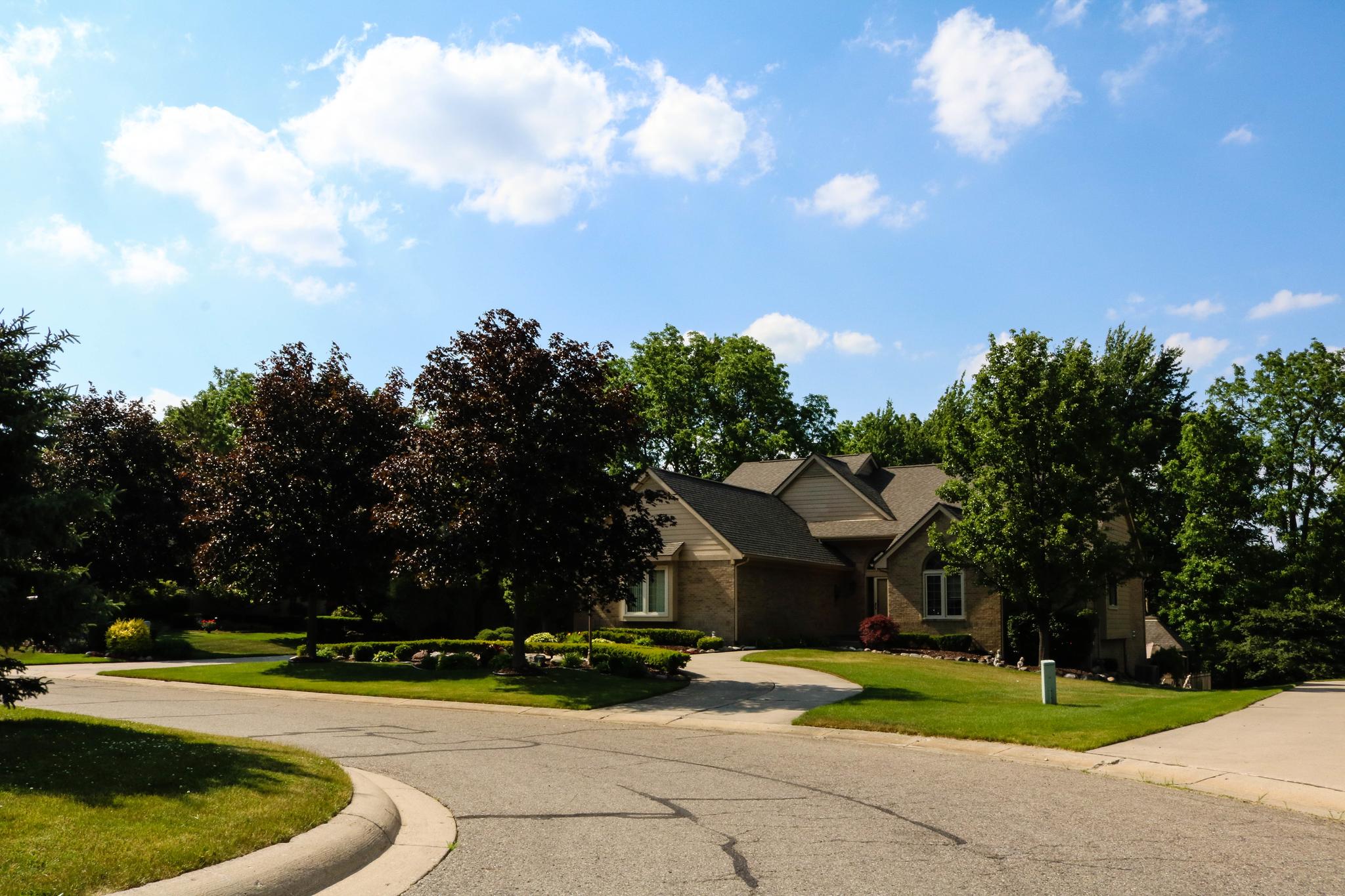 tree lined street in South Lyon\'s Tanglewood neighborhood