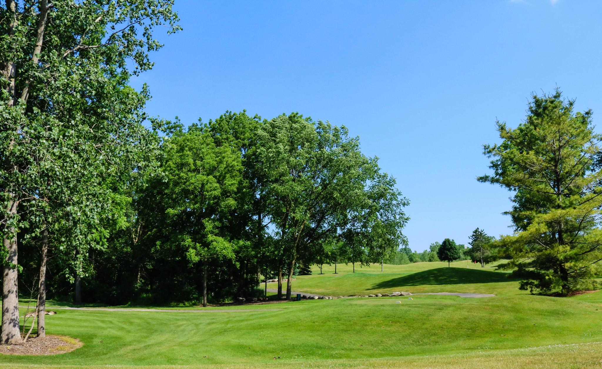 Tanglewood golf course in South Lyon