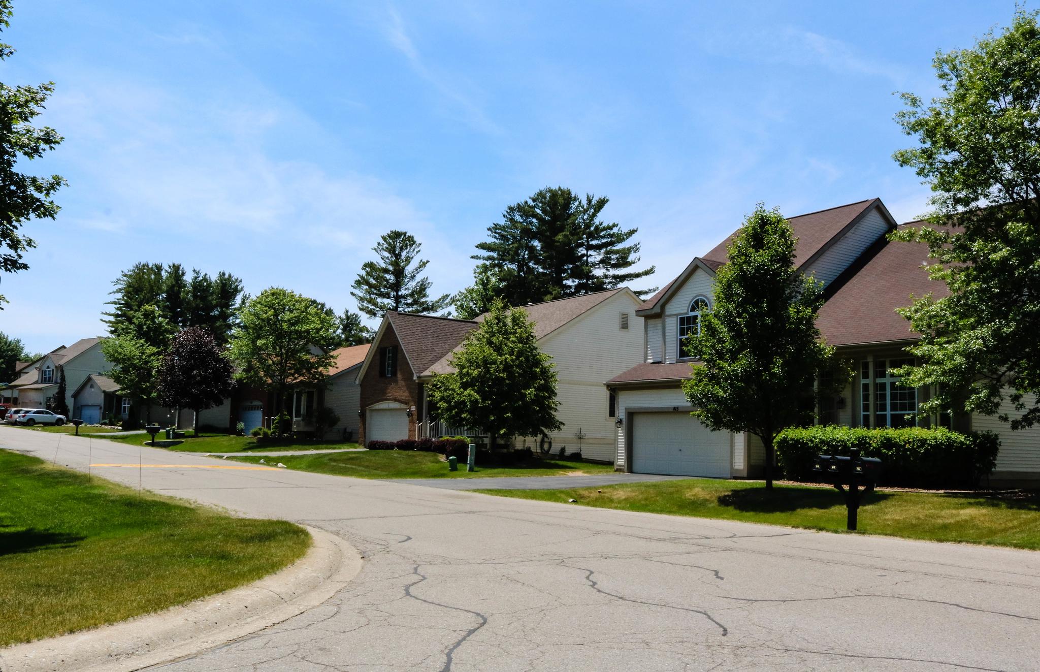 Tree lined street in Lakeshore Pointe