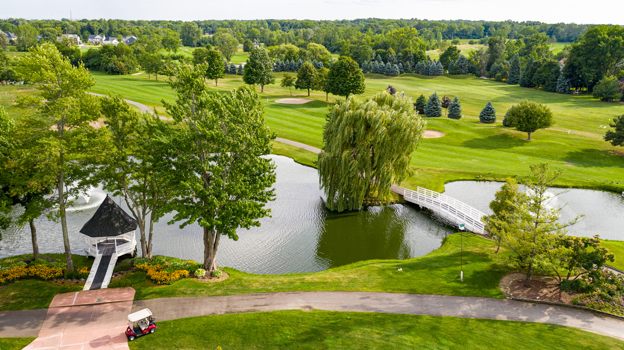 Tanglewood South Lyon aerial overview - 6